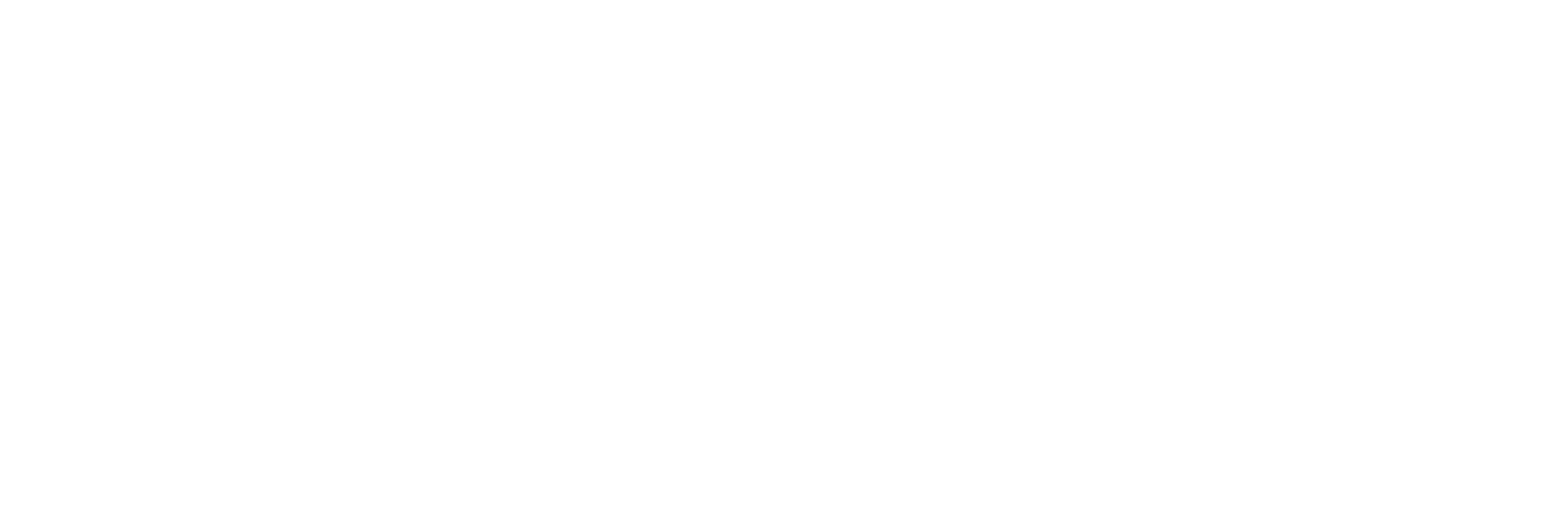 Fashionel